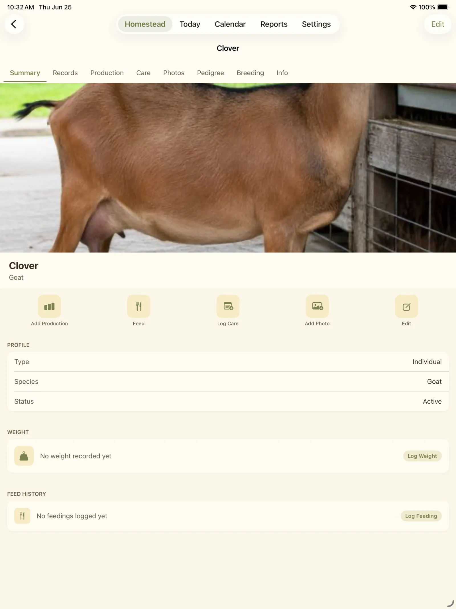 Animal detail screen for Clover with photo, summary, actions, and record sections.
